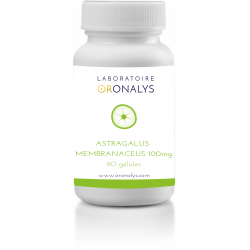 Astragalus membranaceus 100 mg