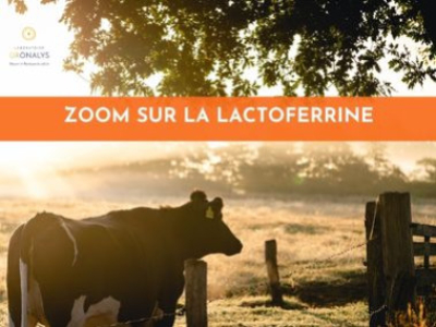 Lactoferrine : L’alliée naturelle de votre immunité