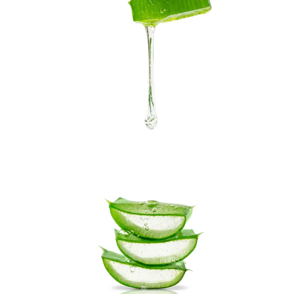 aloe vera.webp