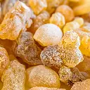 Boswellia Serrata.webp