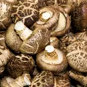 shiitake.webp